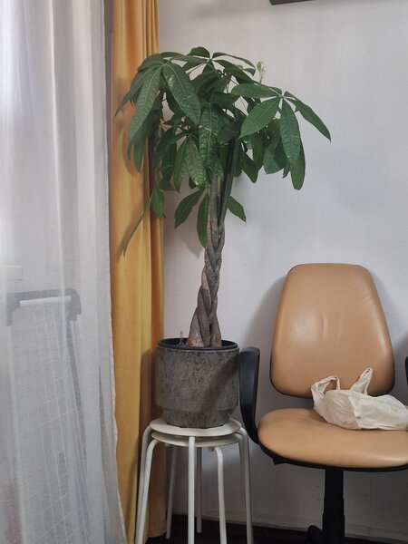 Scaun rotativ piele
